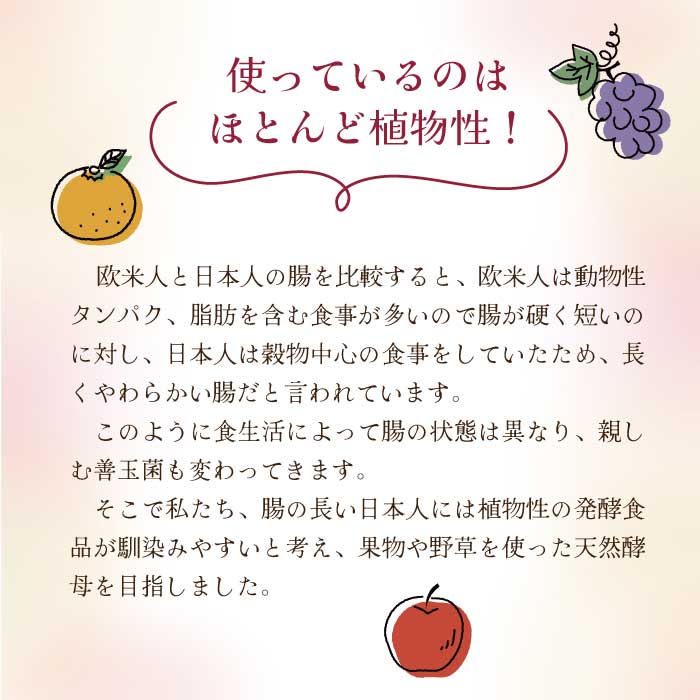 コーボンマーベル 525ml 天然酵母飲料