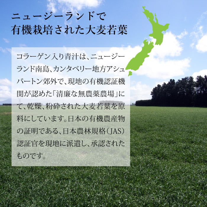 コラーゲン入り青汁 (3g×30スティック) 健康美人フォーラム