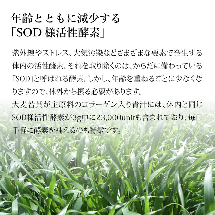 コラーゲン入り青汁 (3g×30スティック) 健康美人フォーラム