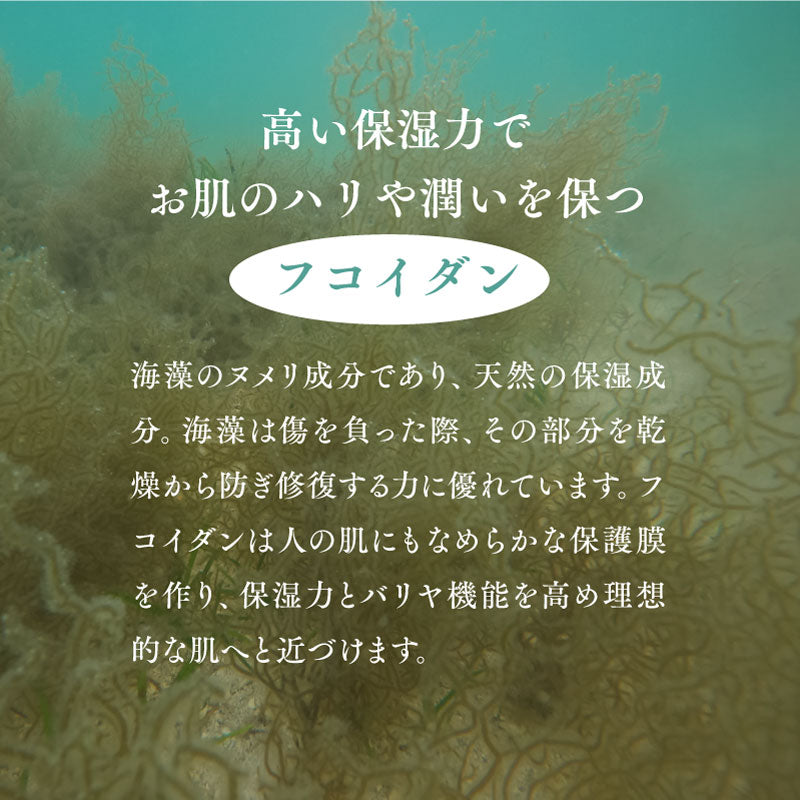 エルマール ガーデン ミストローション (elmar GARDEN mist lotion) スプレータイプ 50ml / 100ml