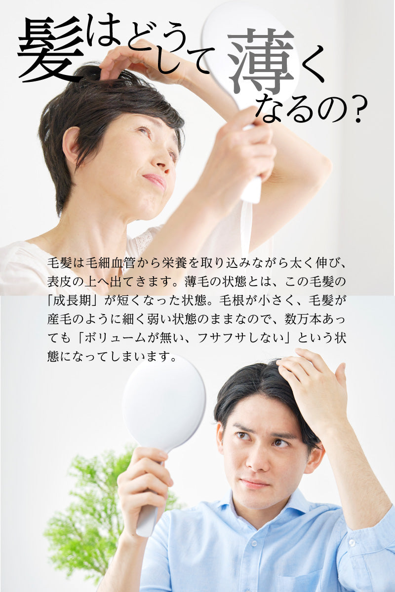 フエルダン スカルプケア 120ml【薬用育毛剤】【医薬部外品】