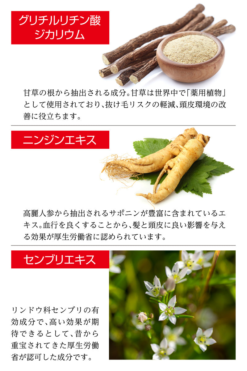 フエルダン スカルプケア 120ml【薬用育毛剤】【医薬部外品】