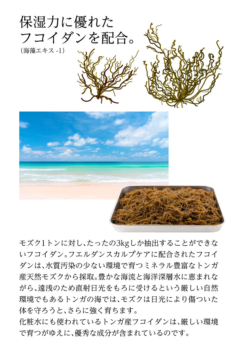 フエルダン スカルプケア 120ml【薬用育毛剤】【医薬部外品】