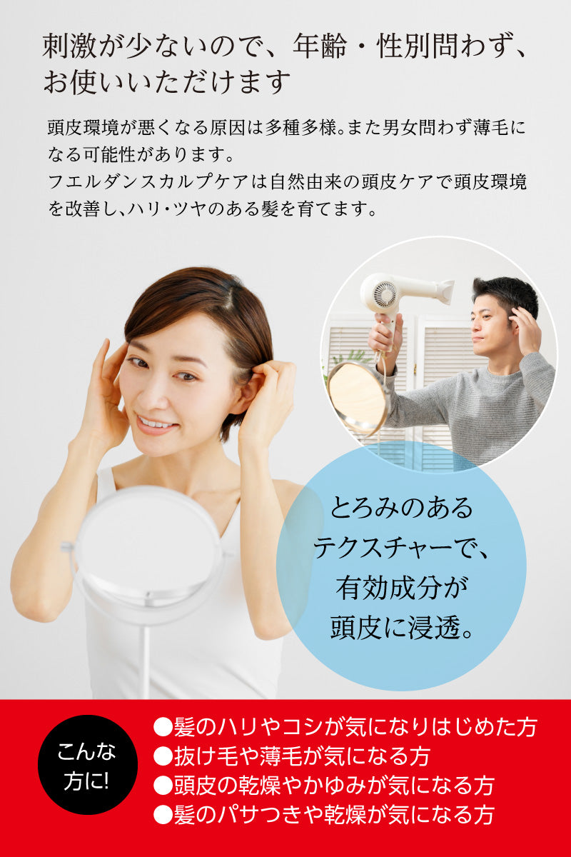 フエルダン スカルプケア 120ml【薬用育毛剤】【医薬部外品】