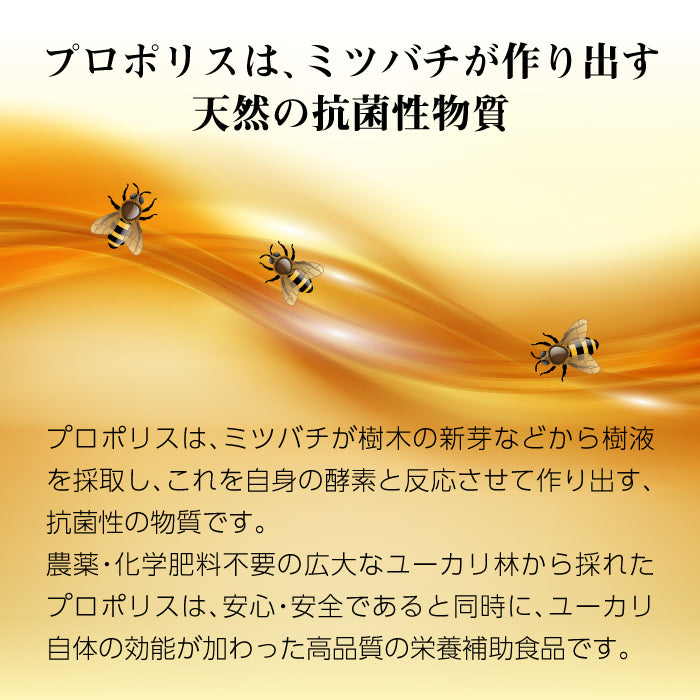 蜂の恵み 熟成プロポリス <粒> 30包 (1包5粒入り) |150粒|粒タイプ|サンフローラ|健康補助食品