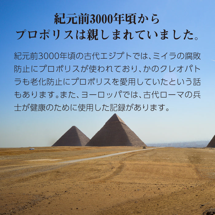 <濃縮> 熟成プロポリス ソフトカプセル 120粒|カプセルタイプ|サンフローラ|熟成プロポリス液