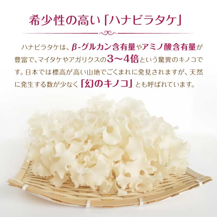 ハナビラタケX5 1箱 ( 120カプセル ) Biomax Premium 乳酸菌バイオジェニックス 高機能特許乳酸菌