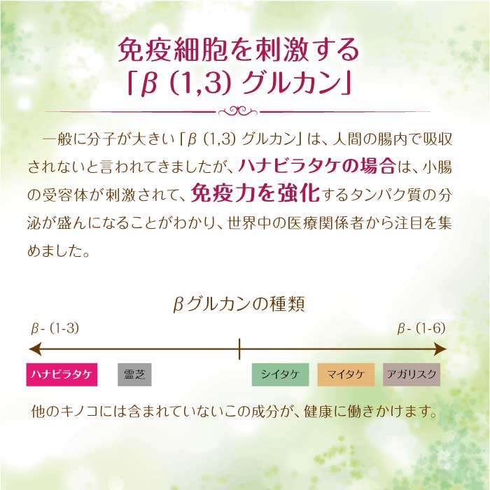 ハナビラタケX5 1箱 ( 120カプセル ) Biomax Premium 乳酸菌バイオジェニックス 高機能特許乳酸菌