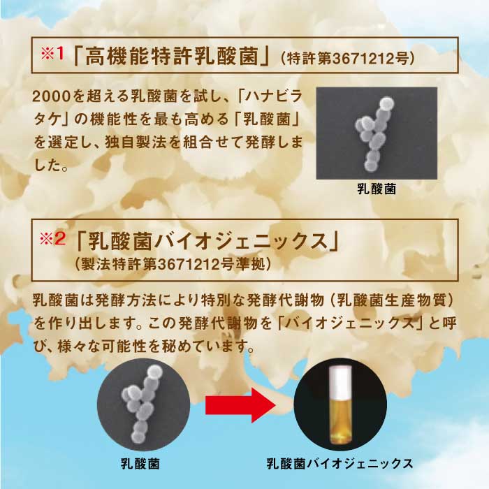 ハナビラタケX5 1箱 ( 120カプセル ) Biomax Premium 乳酸菌バイオジェニックス 高機能特許乳酸菌