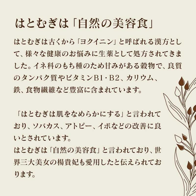 【ラテの素】 はとむぎラテの素 100ml (1本) 加糖 希釈タイプ はとむぎ濃縮エキス ノンカフェイン デカフェ グルテンフリー 炭酸割