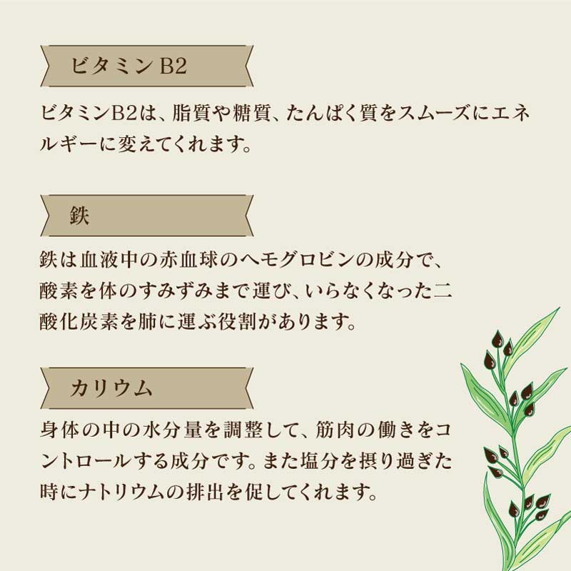 【ラテの素】 はとむぎラテの素 100ml (1本) 加糖 希釈タイプ はとむぎ濃縮エキス ノンカフェイン デカフェ グルテンフリー 炭酸割