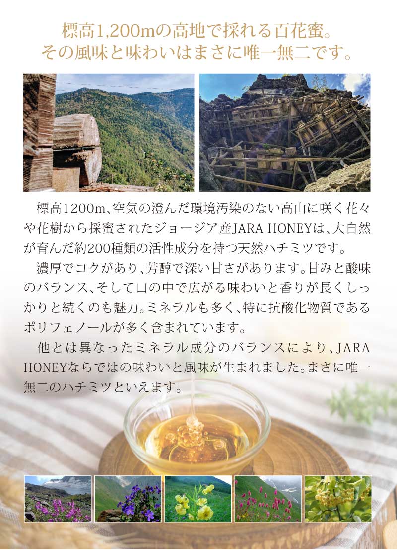 WILD JARA HONEY |オーガニック ジャラハニー|天然はちみつ|ハチの巣入り|巣蜜|専用BOXに入れてお送りします。