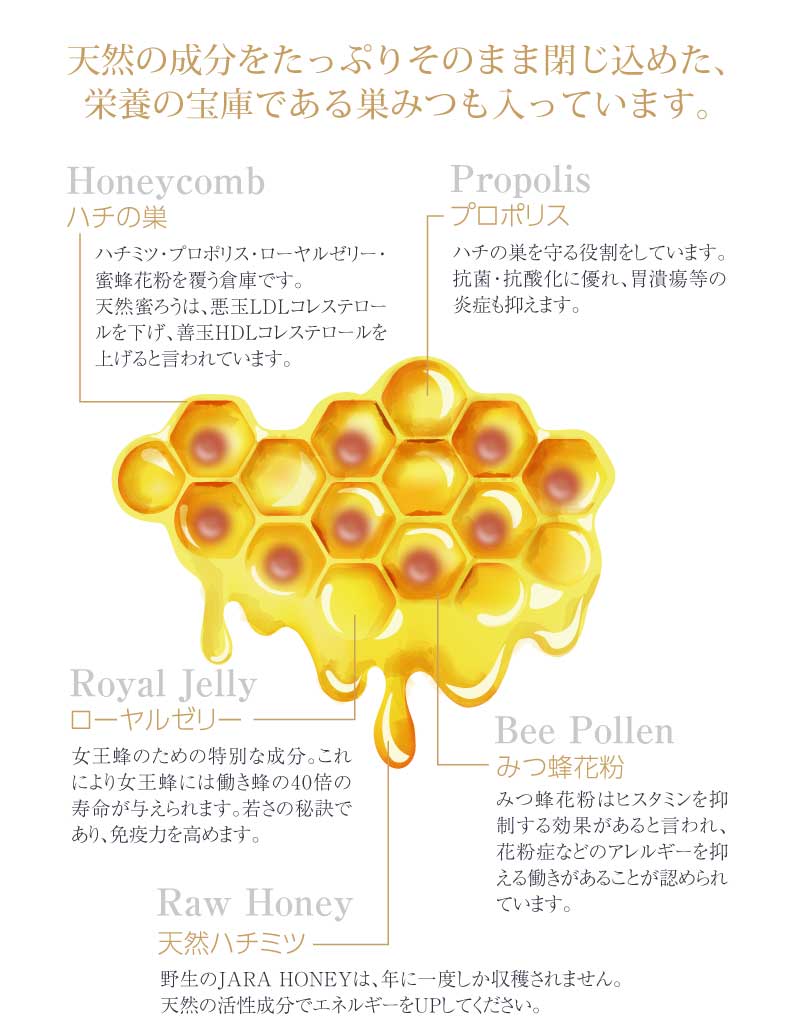 WILD JARA HONEY |オーガニック ジャラハニー|天然はちみつ|ハチの巣入り|巣蜜|専用BOXに入れてお送りします。