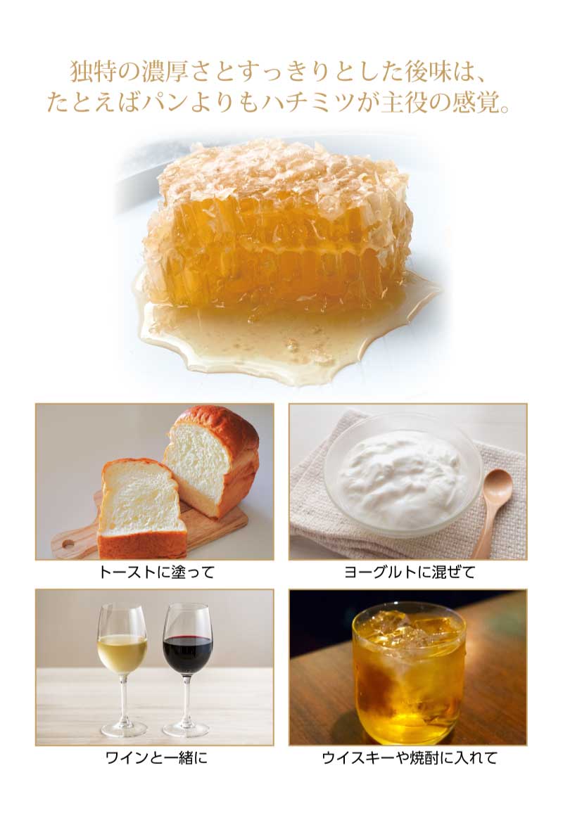 WILD JARA HONEY |オーガニック ジャラハニー|天然はちみつ|ハチの巣入り|巣蜜|専用BOXに入れてお送りします。