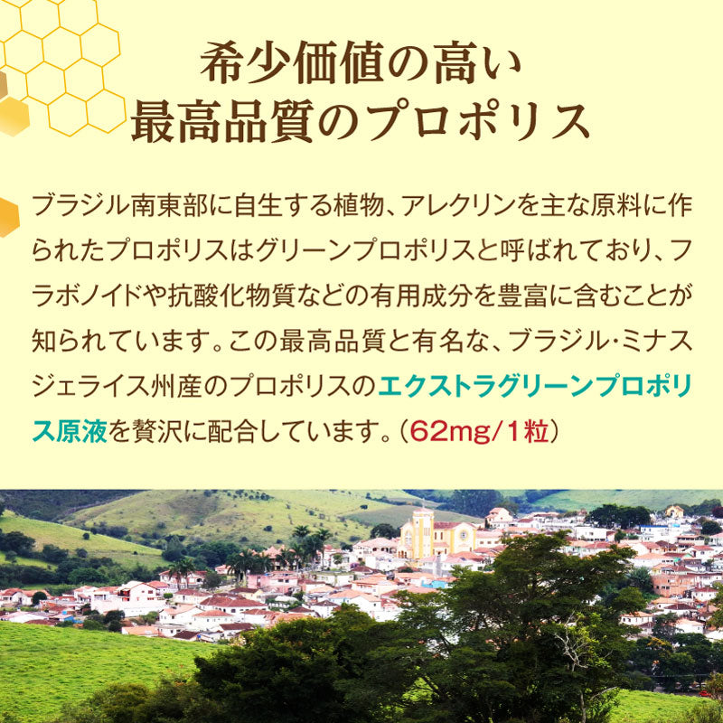 潤沢プロポリスのど飴 30g / 74g エクストラグリーンプロポリス