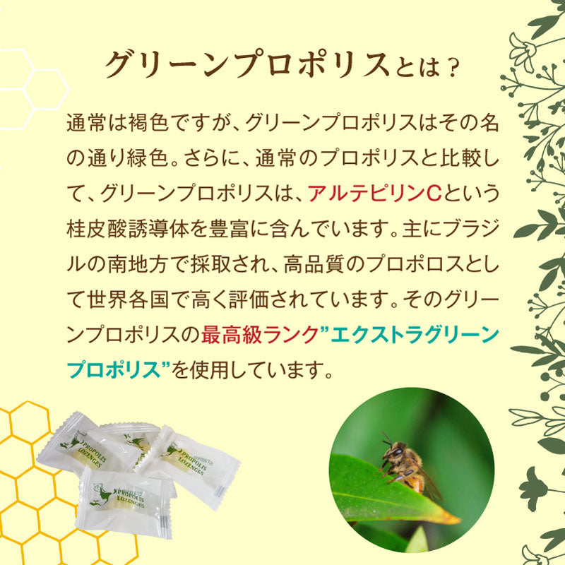 潤沢プロポリスのど飴 30g / 74g エクストラグリーンプロポリス