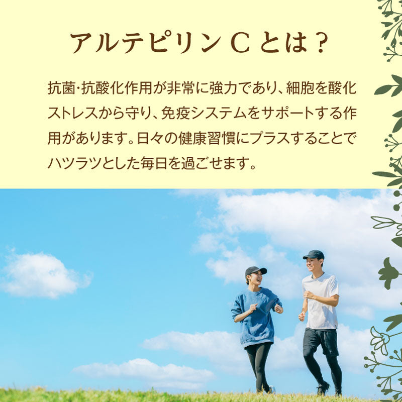 潤沢プロポリスのど飴 30g / 74g エクストラグリーンプロポリス