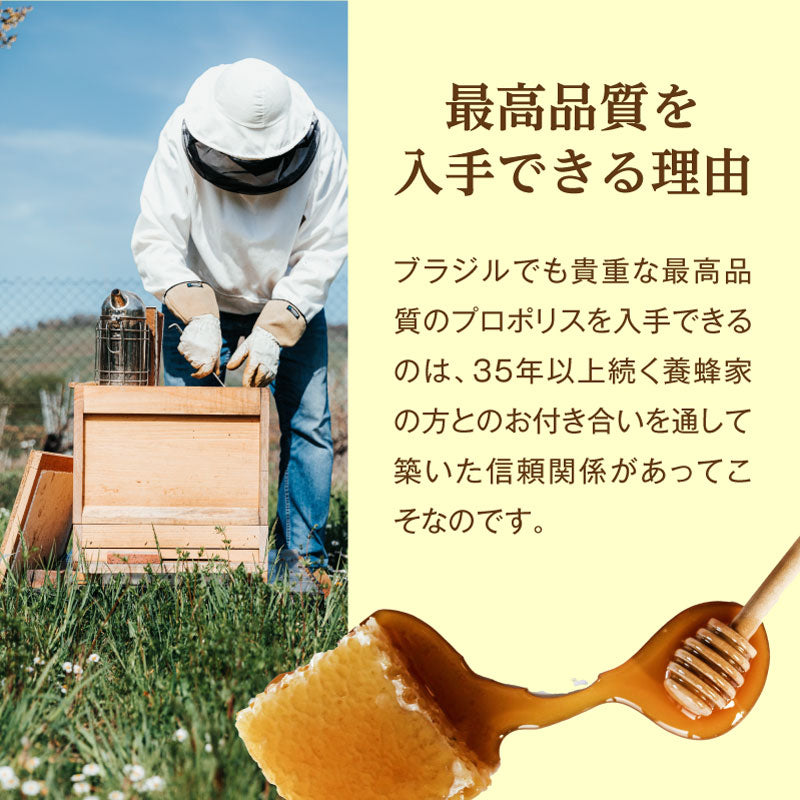 潤沢プロポリスのど飴 30g / 74g エクストラグリーンプロポリス