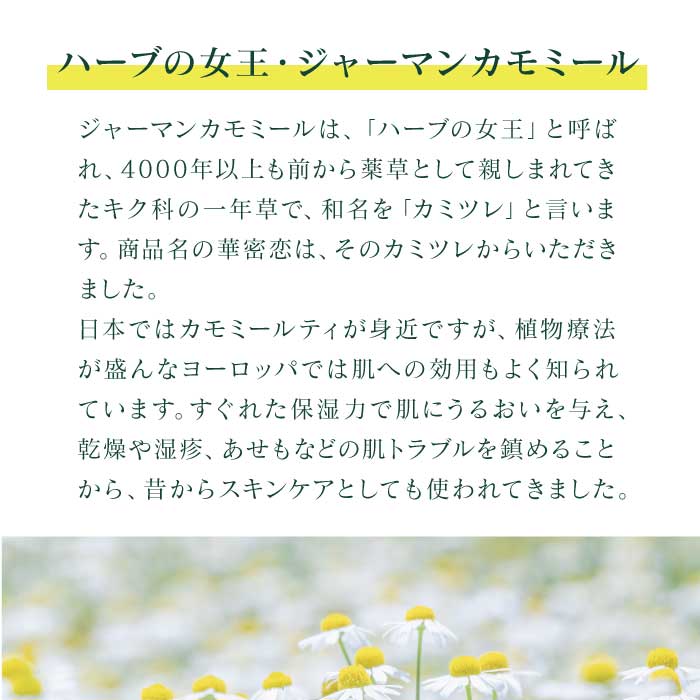 華密恋 - KAMITSUREN - ヘッドマッサージローション 130ml | 頭皮ケア スカルプケア|【東和バイオオフィシャルサイト限定商品】