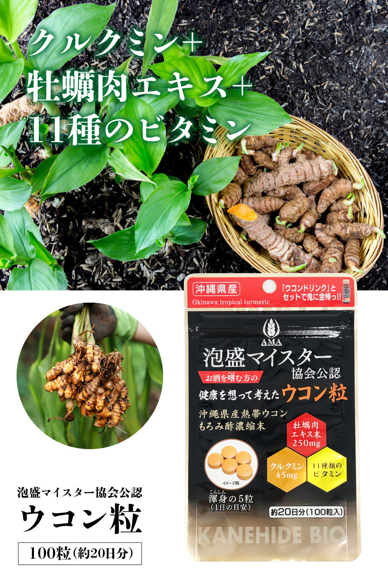 金秀バイオ ウコン粒 100粒 |泡盛マイスター協会公認