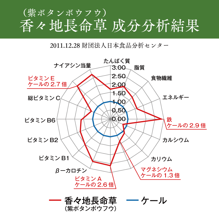 青汁パウダー & 紫ボウフウ茶 2種セット | 紫ボタンボウフウ 香々地 長命草