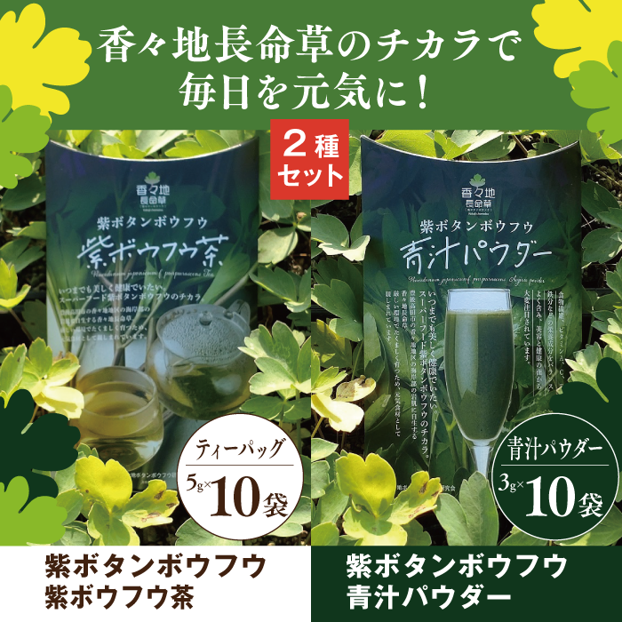 青汁パウダー & 紫ボウフウ茶 2種セット | 紫ボタンボウフウ 香々地 長命草