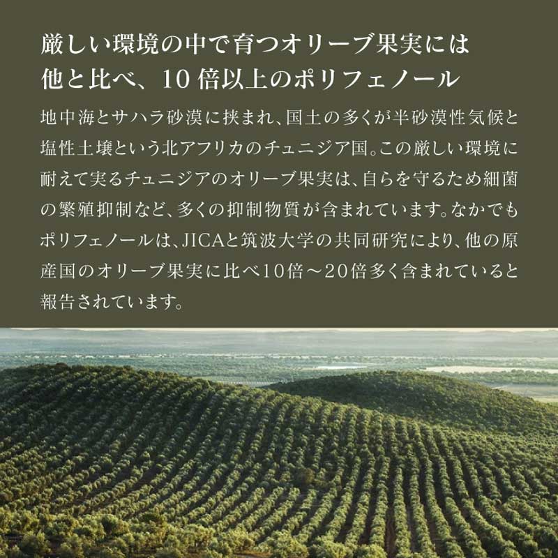 【リニューアル】オーガニックオリーブオイル 250ml (1本/2本セット)