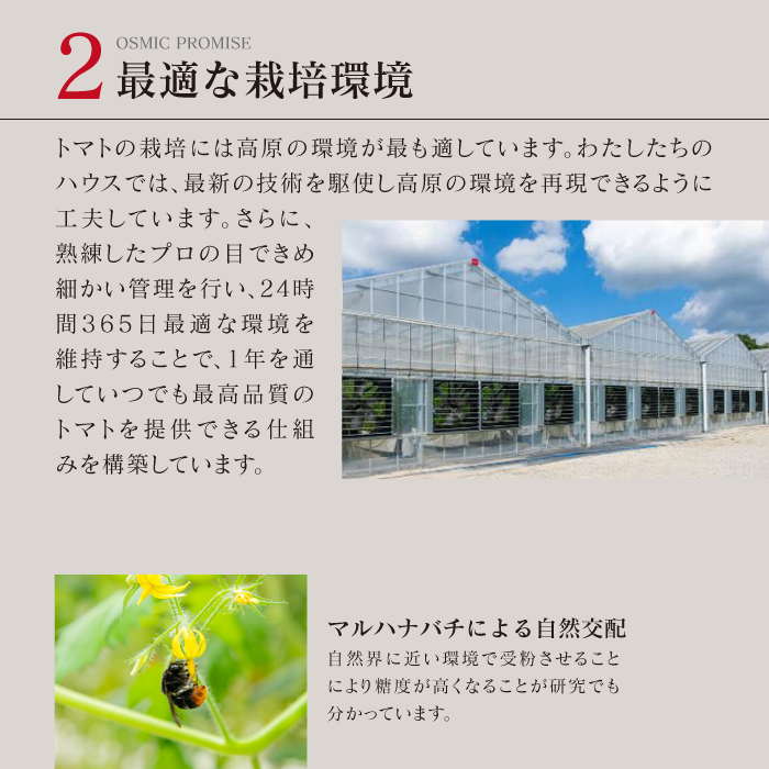 OSMIC FIRST QUEEN トマトジュース