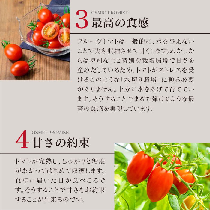OSMIC FIRST QUEEN トマトジュース