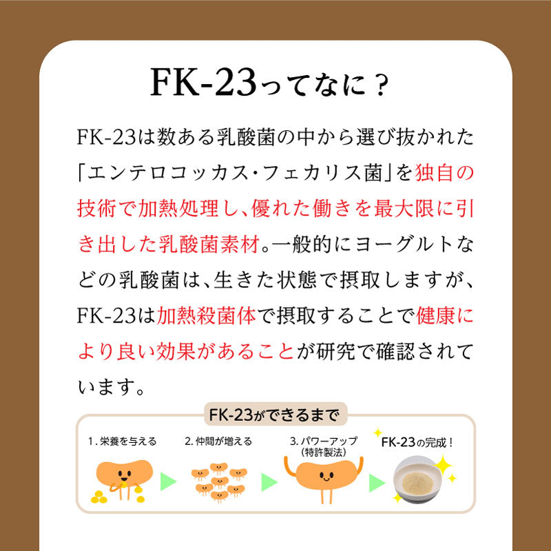 プロテサンS3 31包 |ニチニチ製薬 PROTSUN 乳酸菌 サプリメント