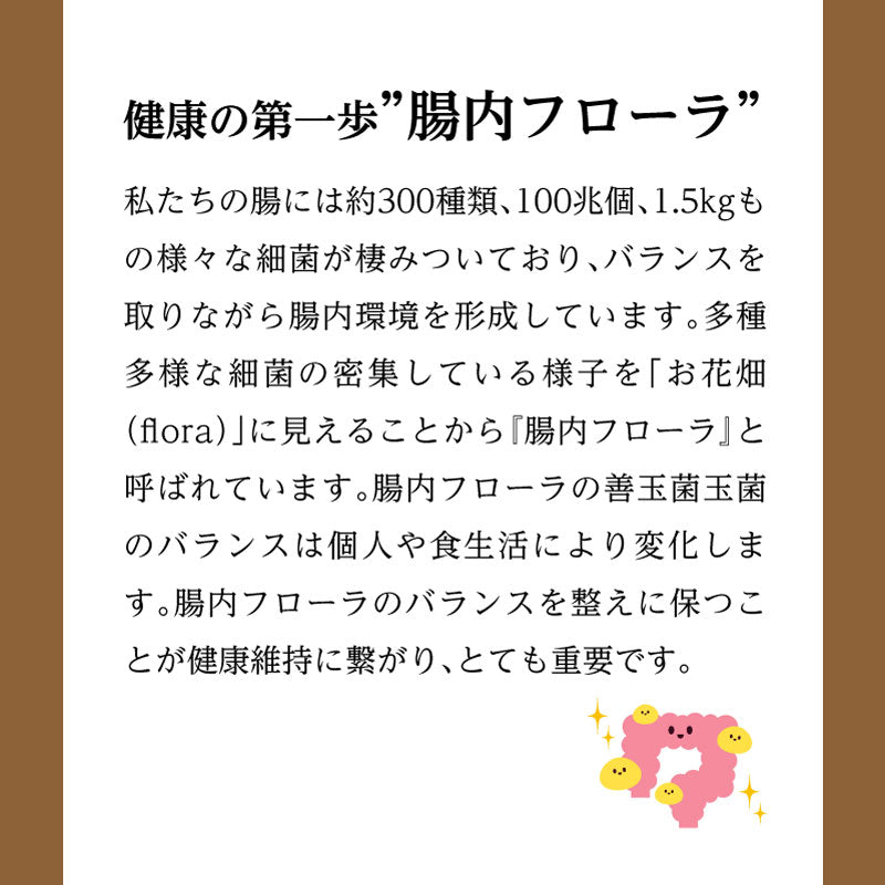 プロテサンS3 31包 |ニチニチ製薬 PROTSUN 乳酸菌 サプリメント