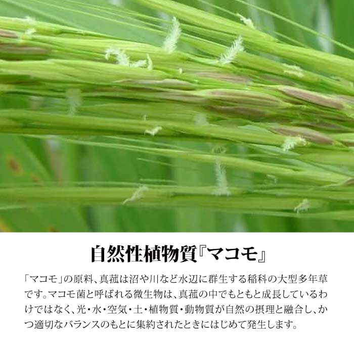 お清め用 スサノメグミ 【マコモ発酵液】 |マコモ浄化スプレー