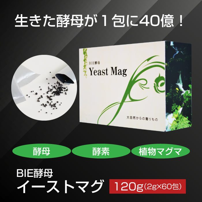 BIE酵母 イーストマグ 120g ( 2g × 60包 ) Yeast Mag