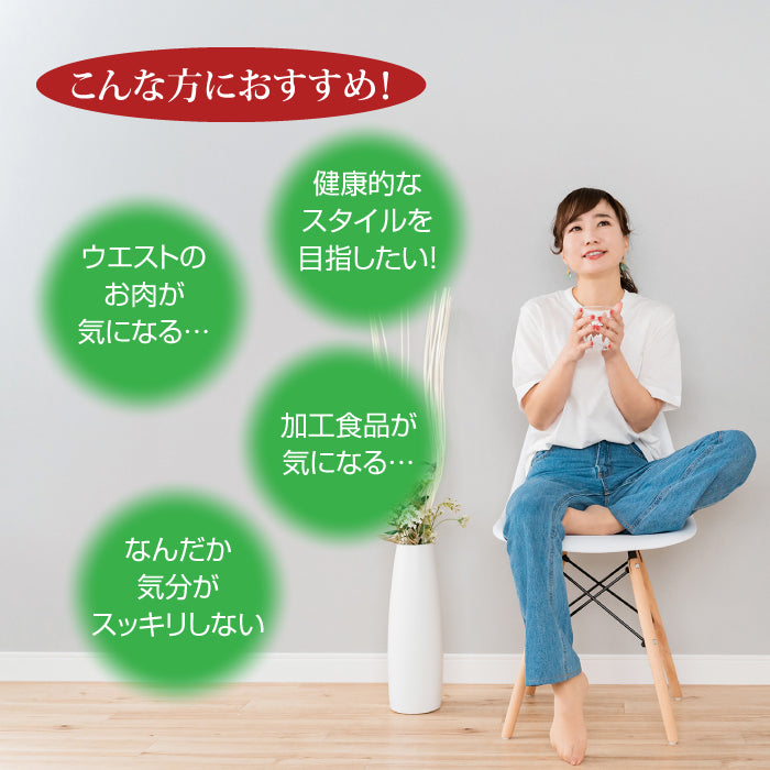 BIE酵母 イーストマグ 120g ( 2g × 60包 ) Yeast Mag