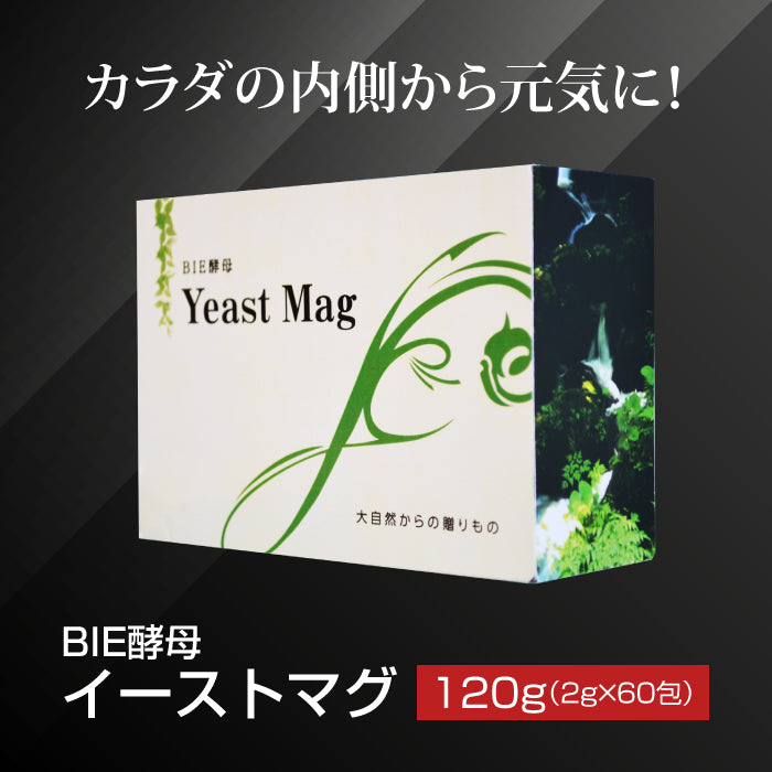 BIE酵母 イーストマグ 120g ( 2g × 60包 ) Yeast Mag