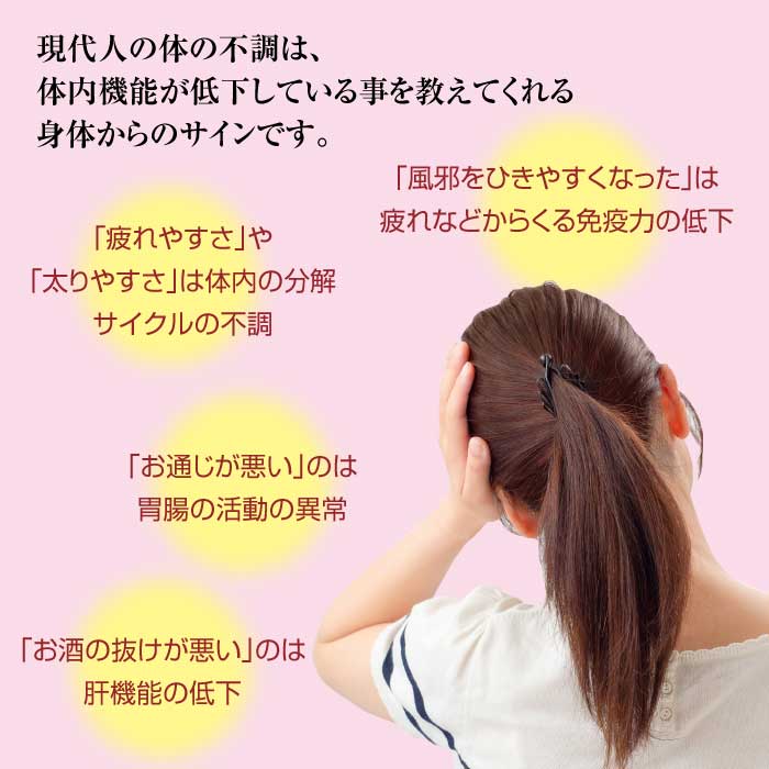 鶯宿梅肉エキス
