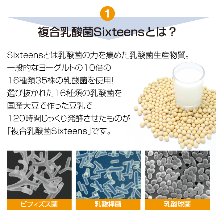 ビファインF(90粒)【複合乳酸菌生産物質】乳酸菌
