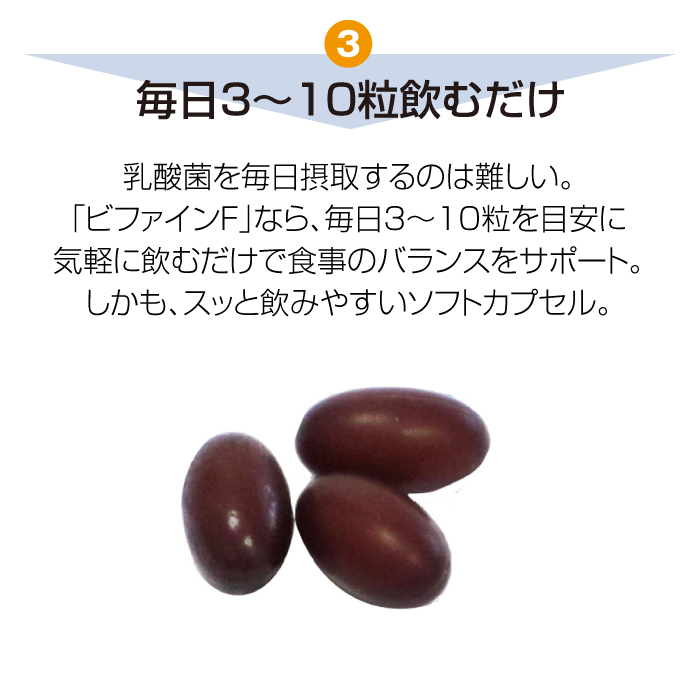 ビファインF(90粒)【複合乳酸菌生産物質】乳酸菌