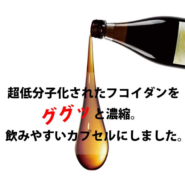 シーフコイダン カプセルタイプ