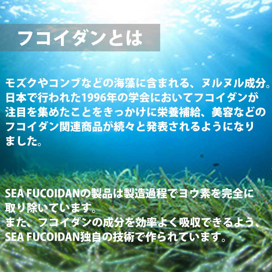 シーフコイダン カプセルタイプ