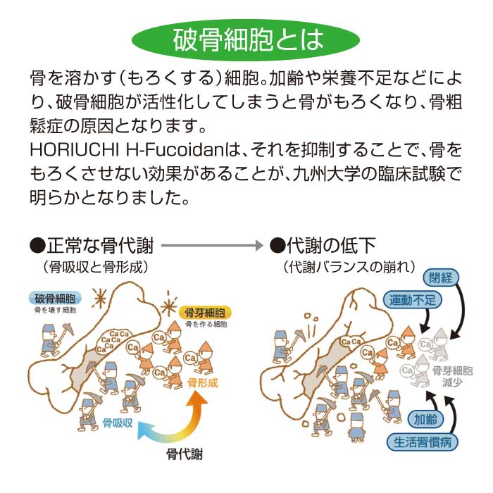 DURVILLEA PLUS 120粒(ダービリアプラス)