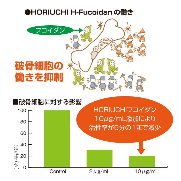 DURVILLEA PLUS 120粒(ダービリアプラス)