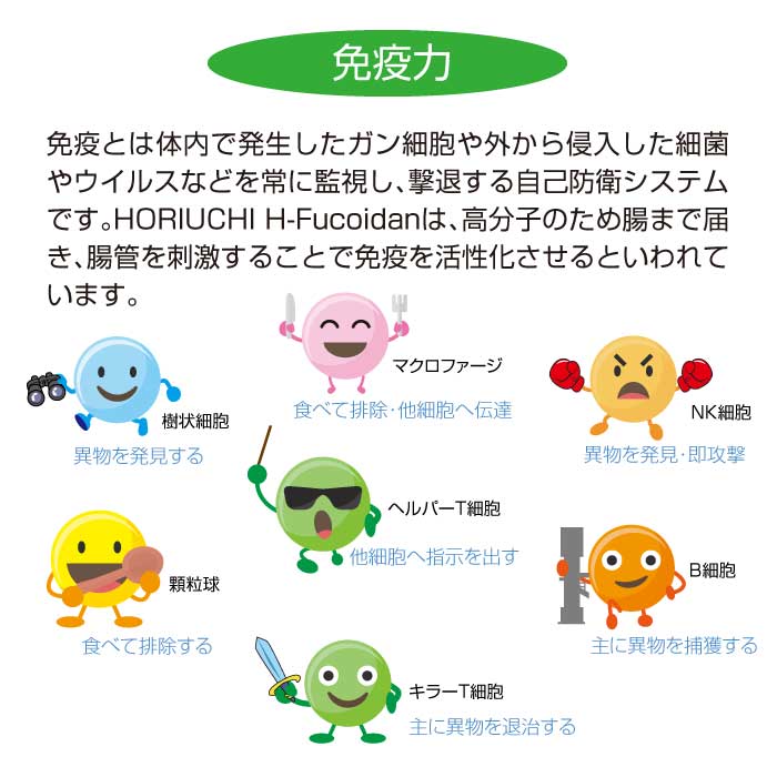 DURVILLEA PLUS 120粒(ダービリアプラス)