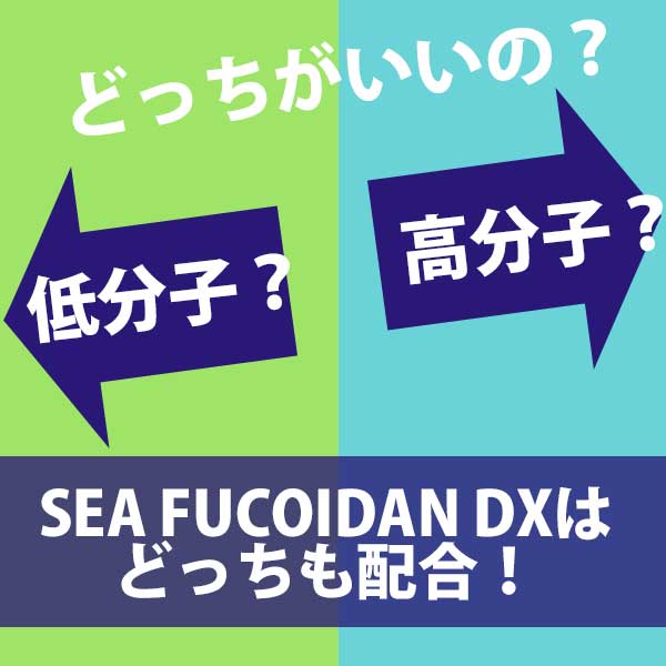 シーフコイダンDX