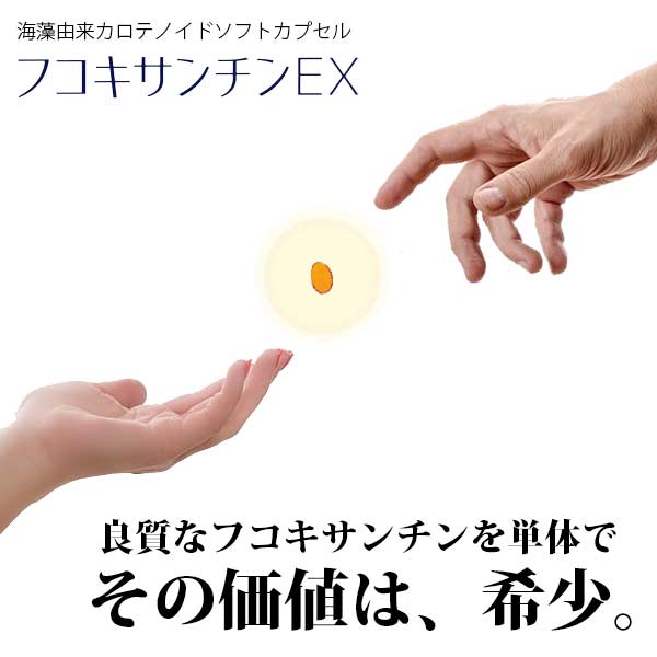 フコキサンチンEX 90カプセル (Fucoxanthin)