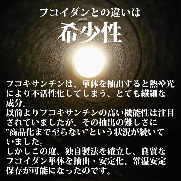 フコキサンチンEX 90カプセル (Fucoxanthin)