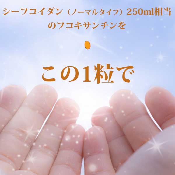 フコキサンチンEX 90カプセル (Fucoxanthin)