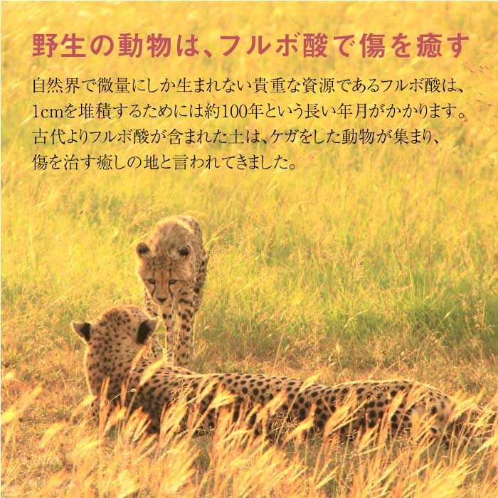 201 Furufumin (201フルフミン)|フミン酸フルボ酸抽出液|immuno mura イムノムラ