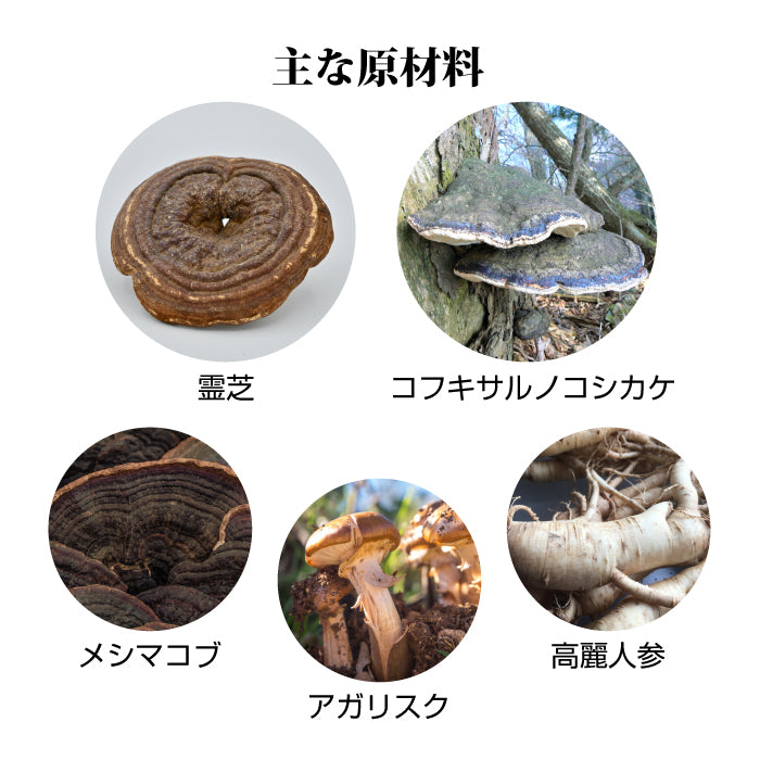 百年茶 黒箱 (7.5g×30袋)×2箱セット|ティーバッグ|煮出し用