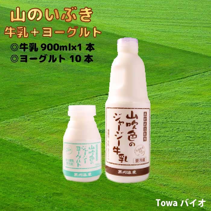 乾山のぐい飲み12こセット Amazon.co.jp: 乾山のぐい飲み12こセット : ホーム＆キッチン
